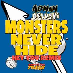 Adnan Belushi - Monsters Never Hide - Hey You Remix album cover