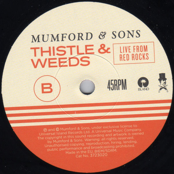 baixar álbum Mumford & Sons - Lover of the Light
