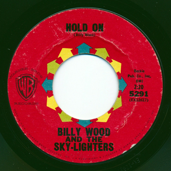 descargar álbum Billy Wood And The SkyLighters - Look A HereHold On