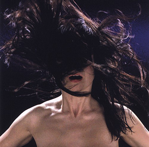 baixar álbum Björk - A Song From Vespertine Hidden Place
