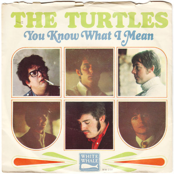 The Turtles – You Know What I Mean / Rugs Of Woods & Flowers (1967, Terre  Haute Pressing, Vinyl) - Discogs