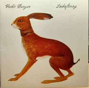 Vashti Bunyan – Lookaftering (2005, CD) - Discogs