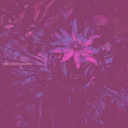 Constants - Pasiflora | Releases | Discogs
