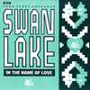 Todd Terry Presents Swan Lake - In The Name Of Love