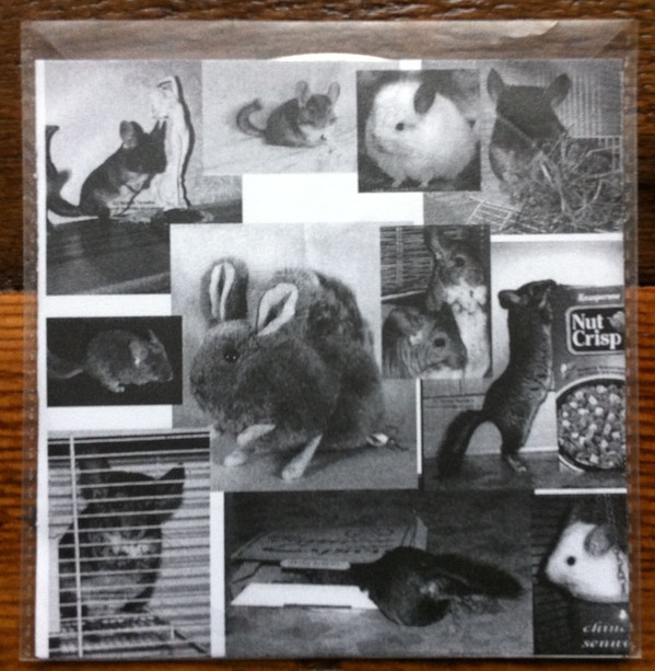 Album herunterladen Chris Chinchilla - Small Gregarious Mammal