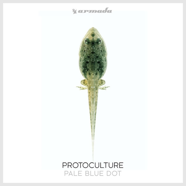 Album herunterladen Protoculture - Pale Blue Dot