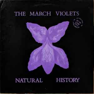 Natural History - The March Violets