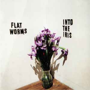 Flat Worms - Into The Iris album cover
