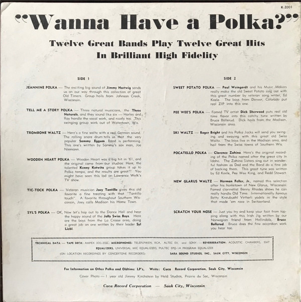 descargar álbum Various - Wanna Hear A Polka