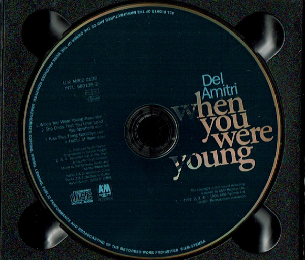 baixar álbum Del Amitri - When You Were Young