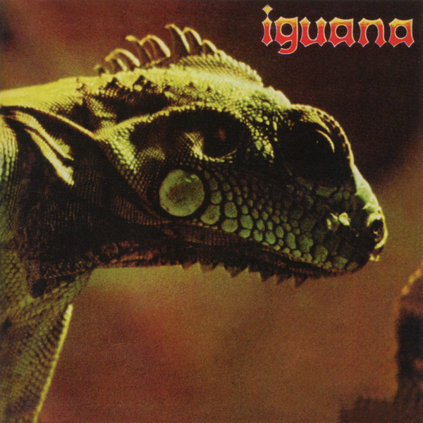 Album Boda tradicional Iguana con ventana ref.16480 - Imprefoto Álbumes S.L