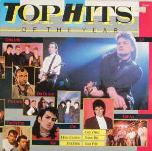 Various - Top Hits Of The Year album cover