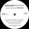 Various - World Electronix Remixes