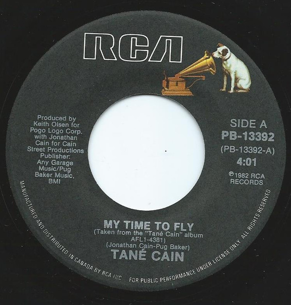 télécharger l'album Tané Cain - My Time to Fly Suspicious Eyes