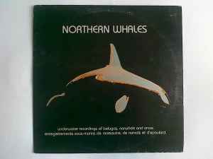 No Artist - Northern Whales album cover