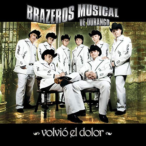 télécharger l'album Download Brazeros Musical de Durango - Volvió El Dolor album