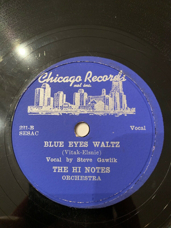 descargar álbum The Hi Notes Orchestra - I Want A Beer Polka Blue Eyes Waltz