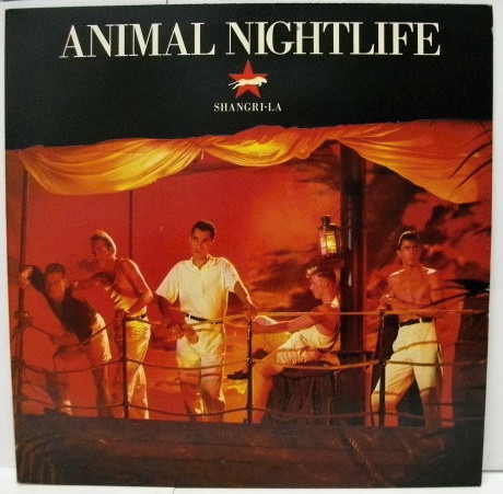 Album herunterladen Animal Nightlife - Shangri La