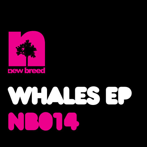 baixar álbum Diego Miranda & Jackspot - Whales EP