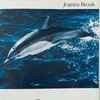 Joanna Brouk - Sounds Of The Sea