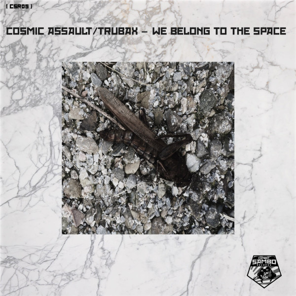 last ned album Cosmic Assault, Trubax - We Belong To Space