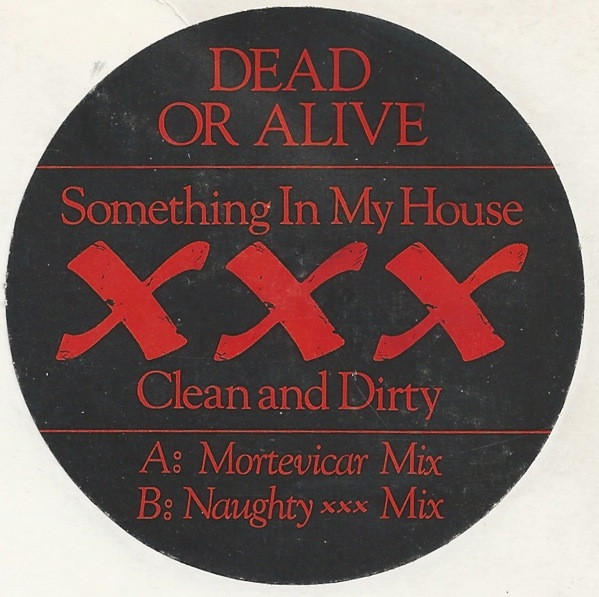 Dead Or Alive – Something In My House (1986, Vinyl) - Discogs