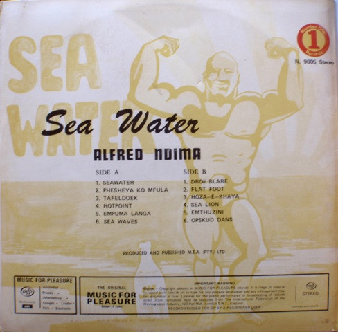 Album herunterladen Alfred Ndima - Sea Water