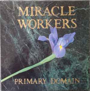 Primary Domain - Miracle Workers
