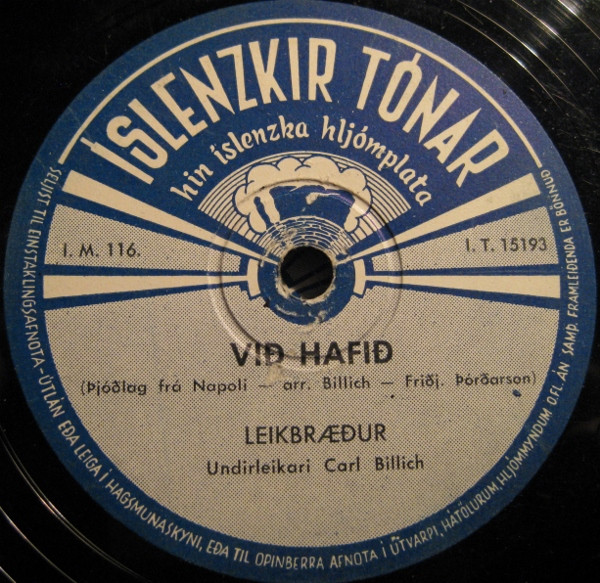 ladda ner album Leikbræður - Í Víðihlíð Við Hafið