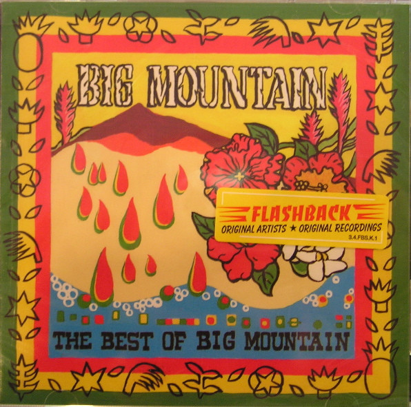 Big Mountain – The Best Of Big Mountain (1998, CD) - Discogs