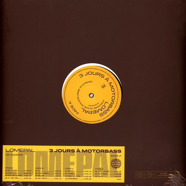 Vinyl Style Poster Lomepal 