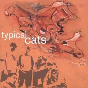 Typical Cats - Typical Cats