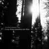 Forest Roots* & Jeremy Clarke (2) - Every Thing Assembles Into Rise