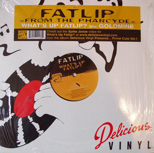 Fatlip What s Up Fatlip Goldmine Releases Discogs