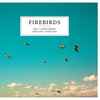 Bill Carrothers, Vincent Courtois - Firebirds