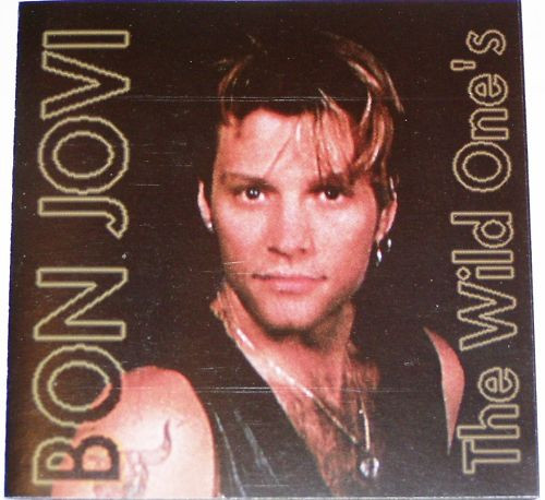 Bon Jovi – The Wild One's (1993