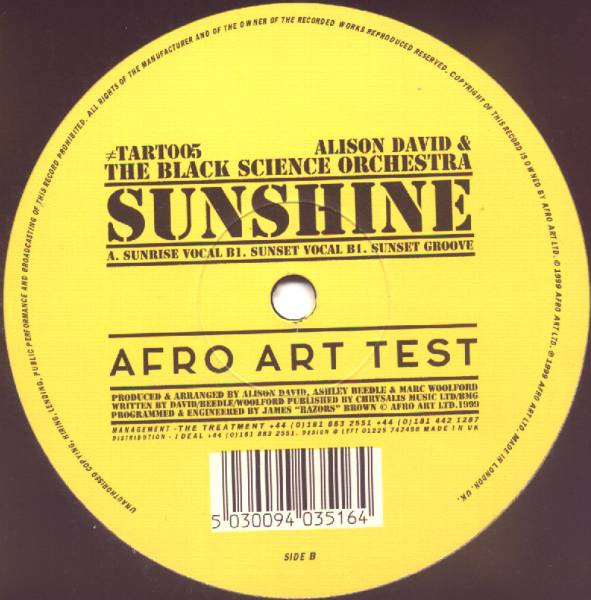 Alison David & The Black Science Orchestra – Sunshine (1999, Vinyl 