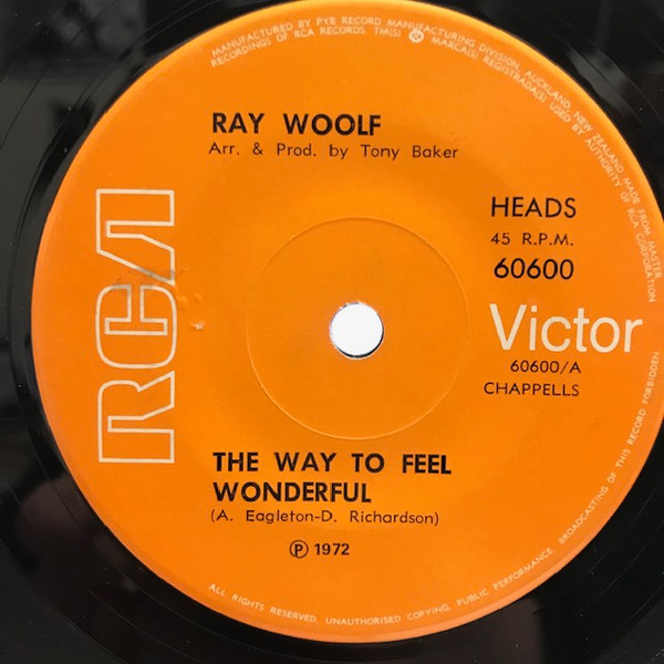 baixar álbum Ray Woolf - The Way To Feel Wonderful