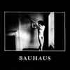Bauhaus - In The Flat Field • 4AD
