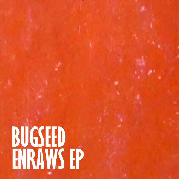 télécharger l'album Bugseed - Enraws EP