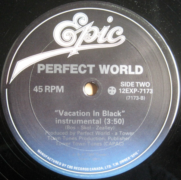 télécharger l'album Perfect World - Vacation In Black