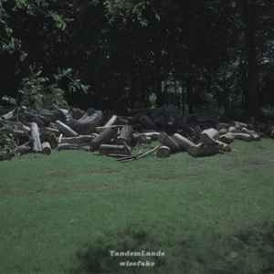 WISEFAKE - TandemLands album cover