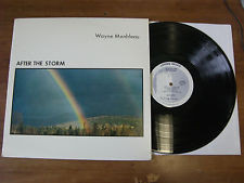descargar álbum Wayne Monbleau - After The Storm