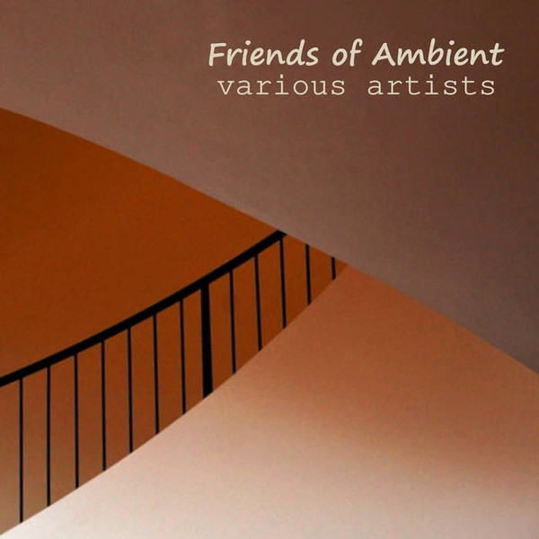 last ned album Various - Friends Of Ambient 21