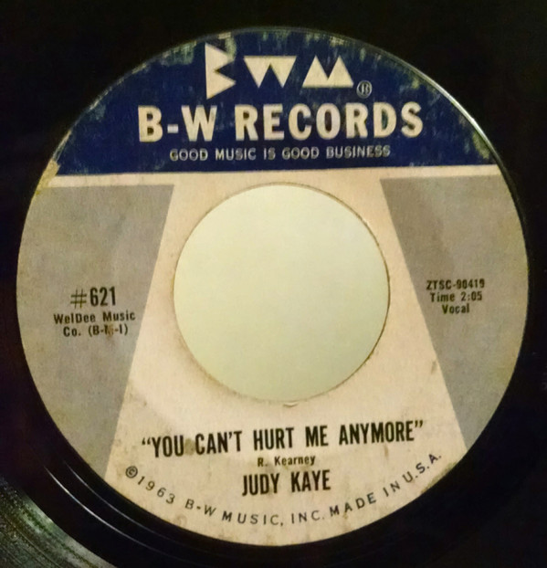 descargar álbum Judy Kaye - Take Everything