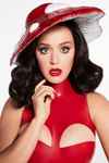 lataa albumi Katy Perry - Remixes