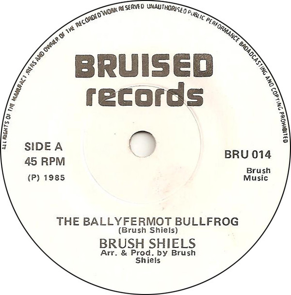 Album herunterladen Brush Shiels - The Ballyfermot Bullfrog