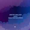 Dmitry Molosh - Surface (Sebastian Haas Remix)