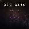 Big Cats! - What if it Doesn't Get Better?