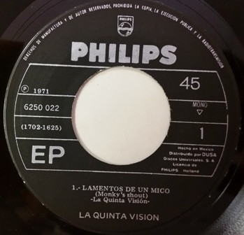ladda ner album La Quinta Visión - Monkys Shout Lamentos De Un Mico